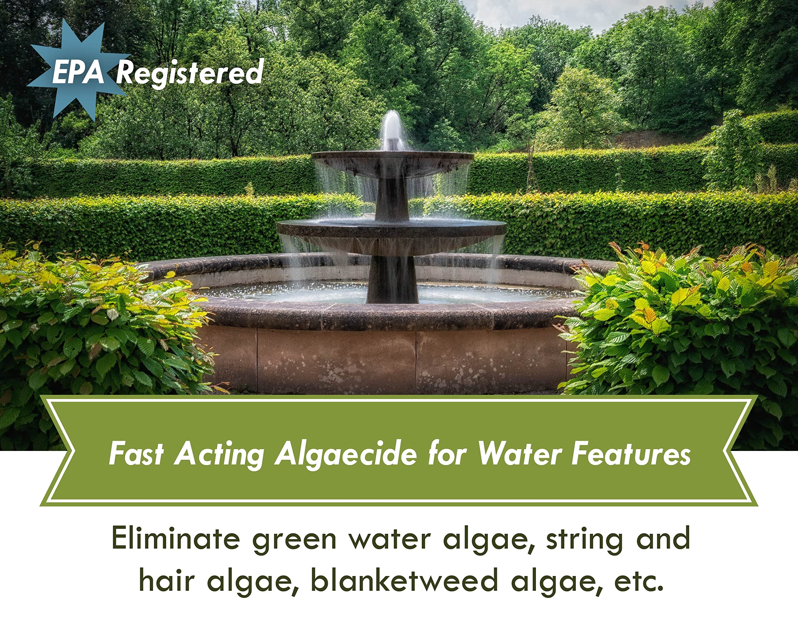 Sanco algae closeup reveals hair and filamentous growth common in ponds