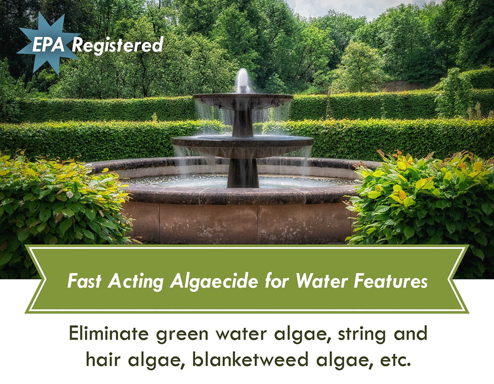 Sanco algae closeup reveals hair and filamentous growth common in ponds