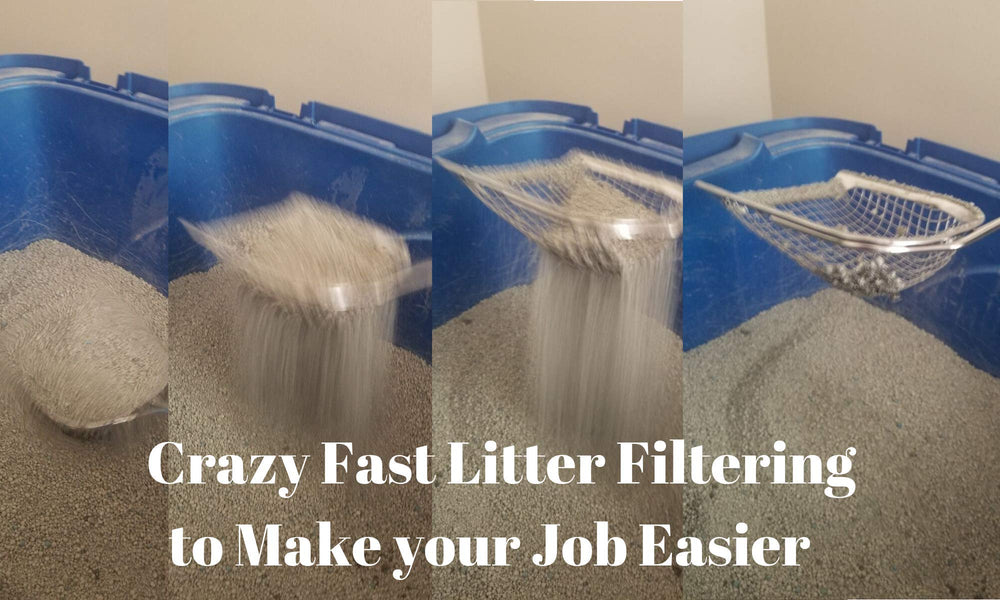 Sand Dipper durable-construction ensures longevity beyond ordinary plastic scoops.