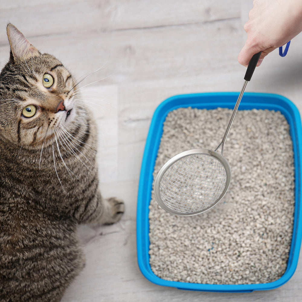 Sand Dipper Scoop handle-wrist-loop: comfortable grip for easy scooping and hanging.