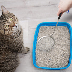 Sand Dipper Scoop handle-wrist-loop: comfortable grip for easy scooping and hanging.