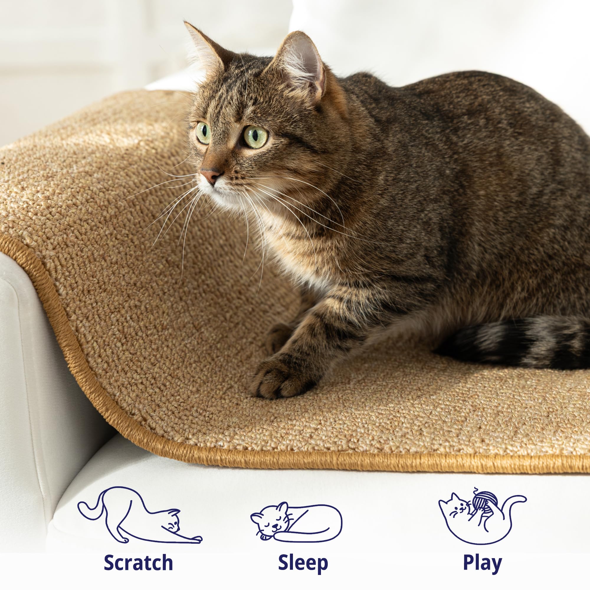SANDPEAK cat wall-climbing carpet on floor-use demonstrates versatile ground-level play.