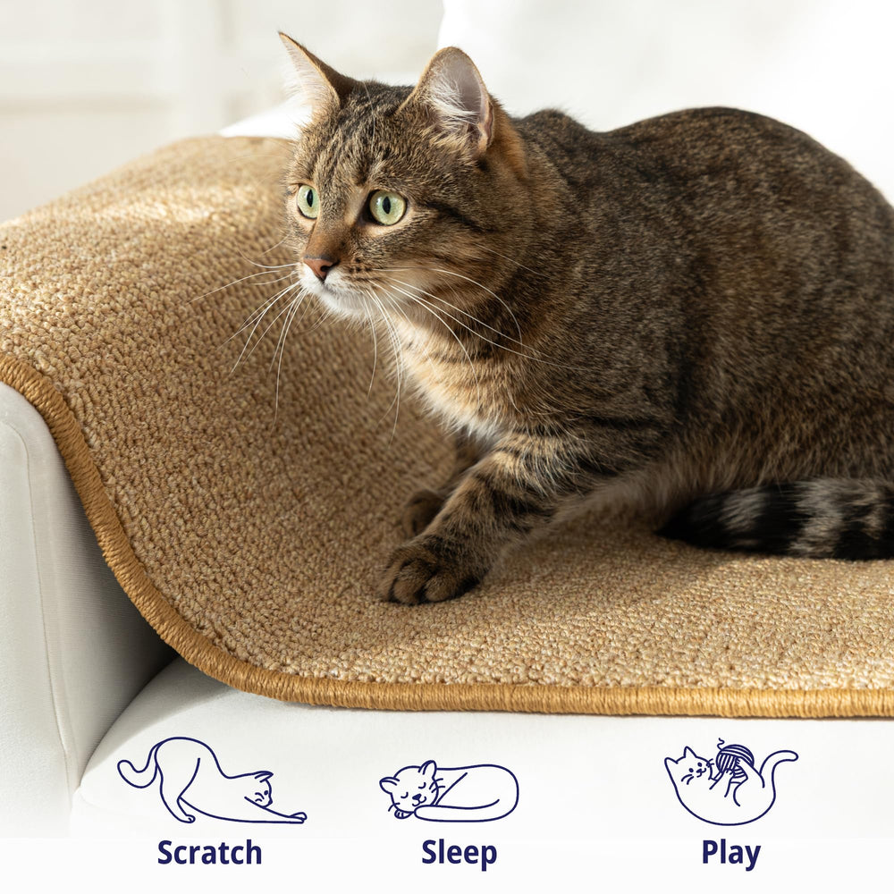 SANDPEAK cat wall-climbing carpet on floor-use demonstrates versatile ground-level play.