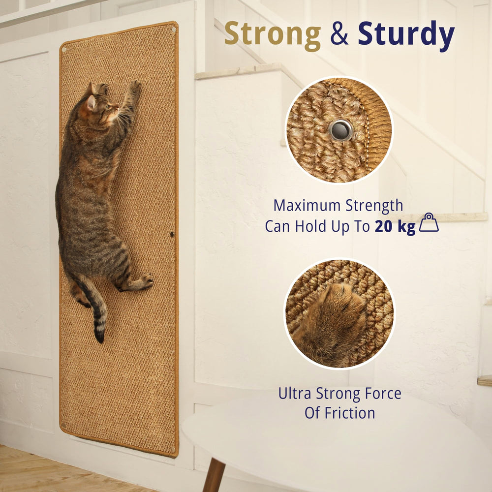 SANDPEAK cat wall-climbing carpet mounted-on-wall shows elevated play with high durability.