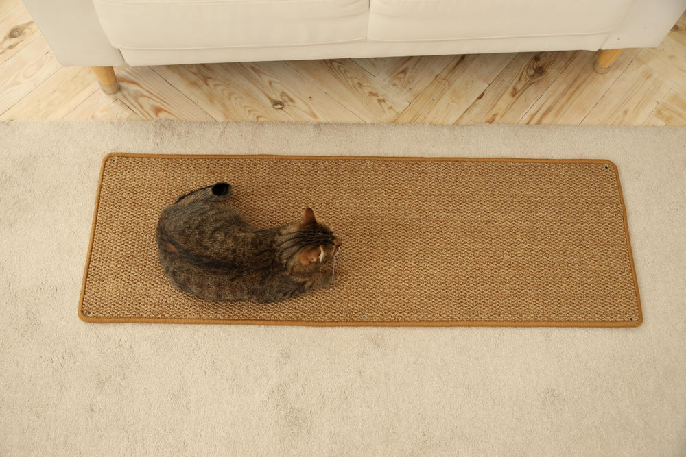 SANDPEAK cat wall-climbing carpet quick-setup conveys fast, fuss-free assembly.