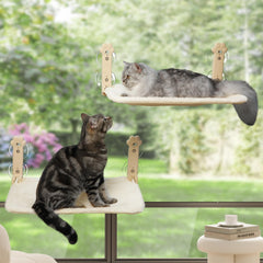 Sangoodier cat window perch folded in window for space-saving lounging.