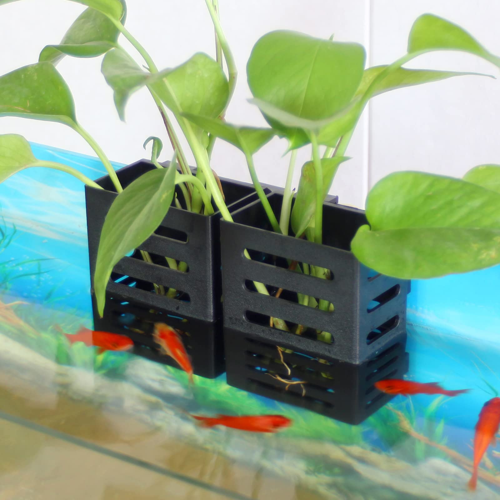 SANJHFF emersed-plants compatibility enables lush, water-friendly setups.