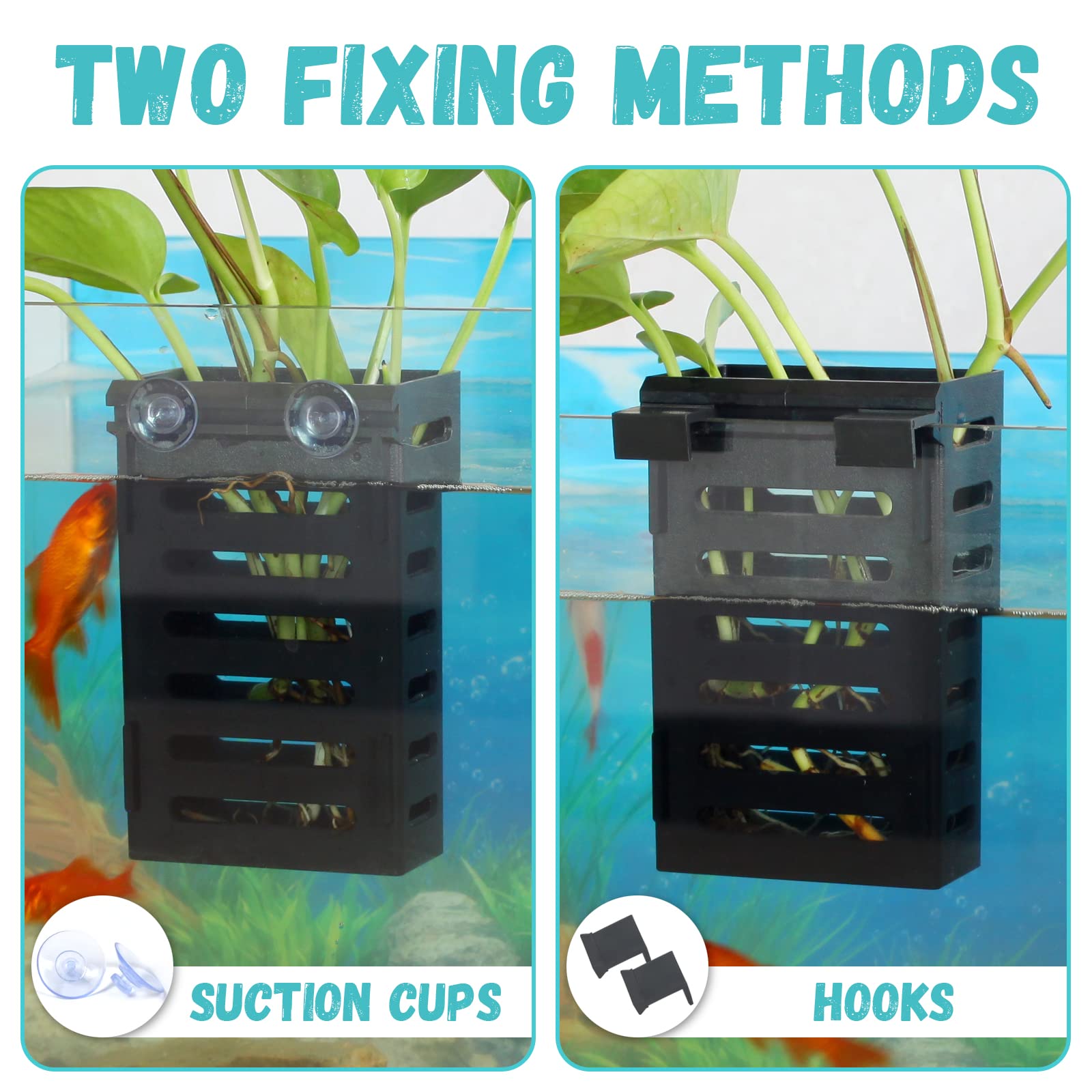 SANJHFF plant holder with suction cups ensures firm glass attachment for versatile placement.