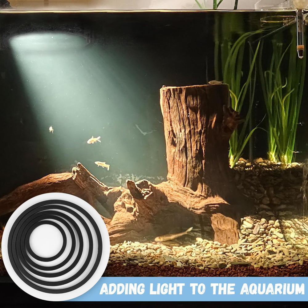 SANJHFF aquarium ring delineates feeding zones and improves air exchange
