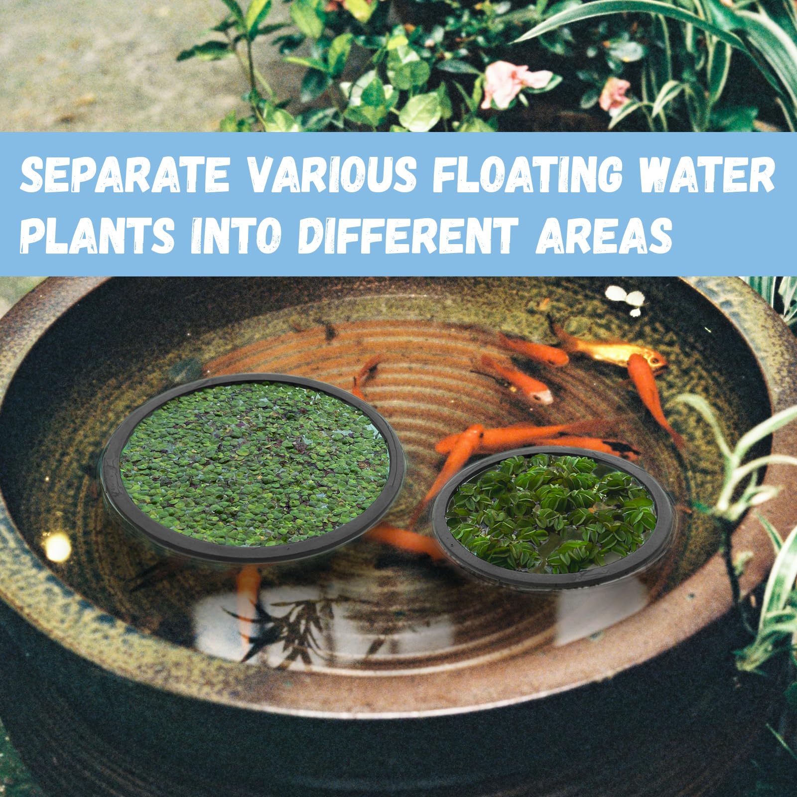 SANJHFF suitable for freshwater and saltwater tanks, supporting organized habitats