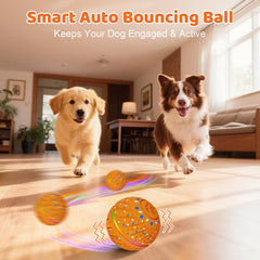 Sankell dog ball with RGB lights for visual stimulation.