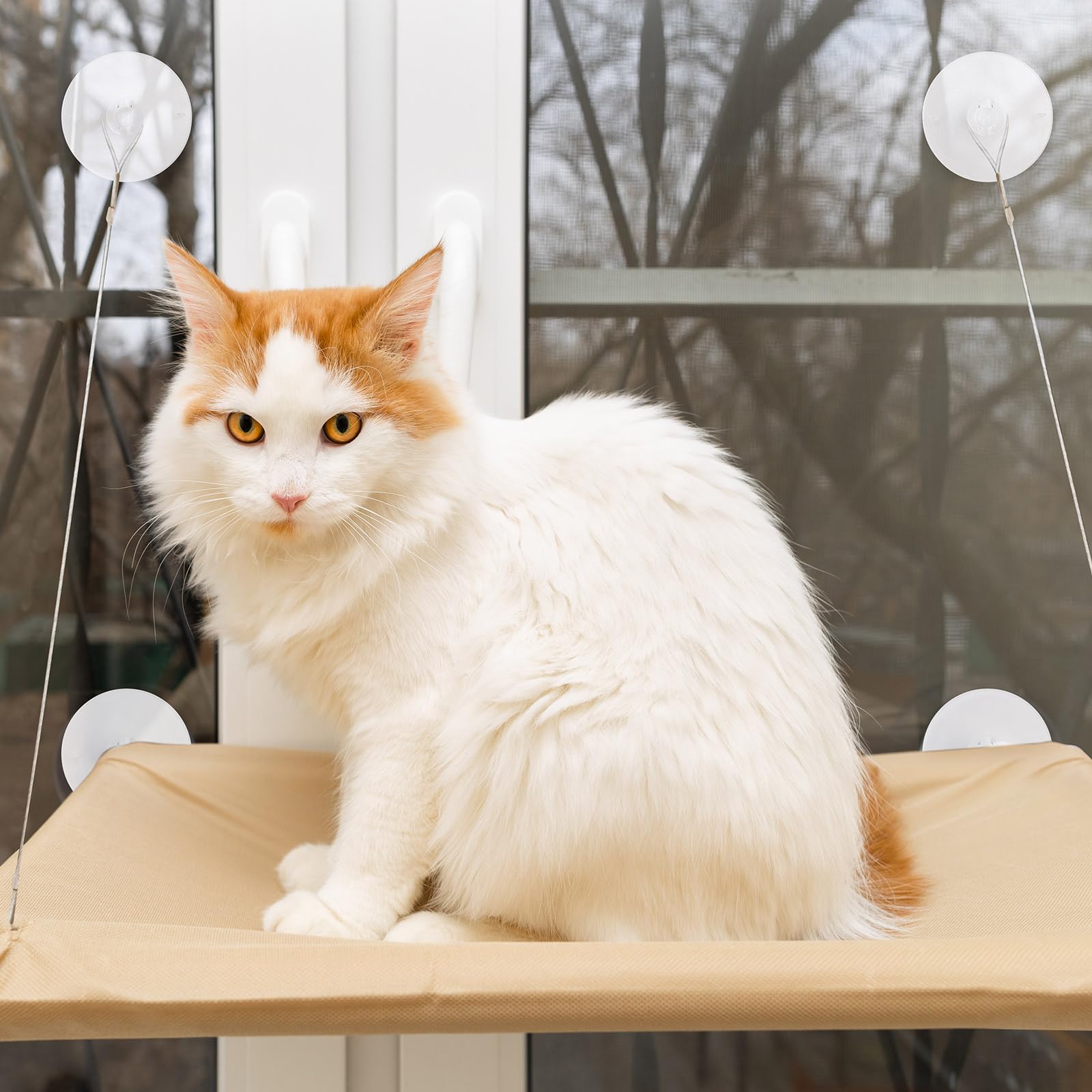 Sankoly suction cup with a hole enables rope or hook attachment for versatile hanging.