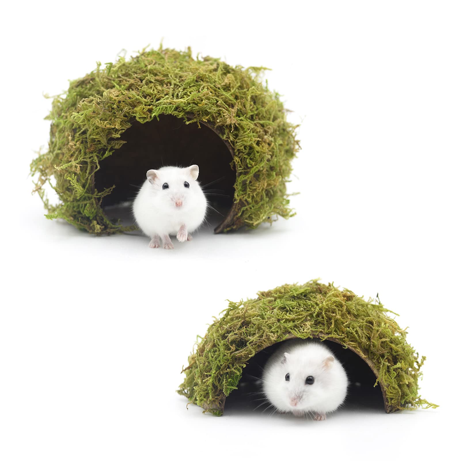 SanmooAio hamster hideaway mossy-cave image highlights a natural hiding space for curious pets.
