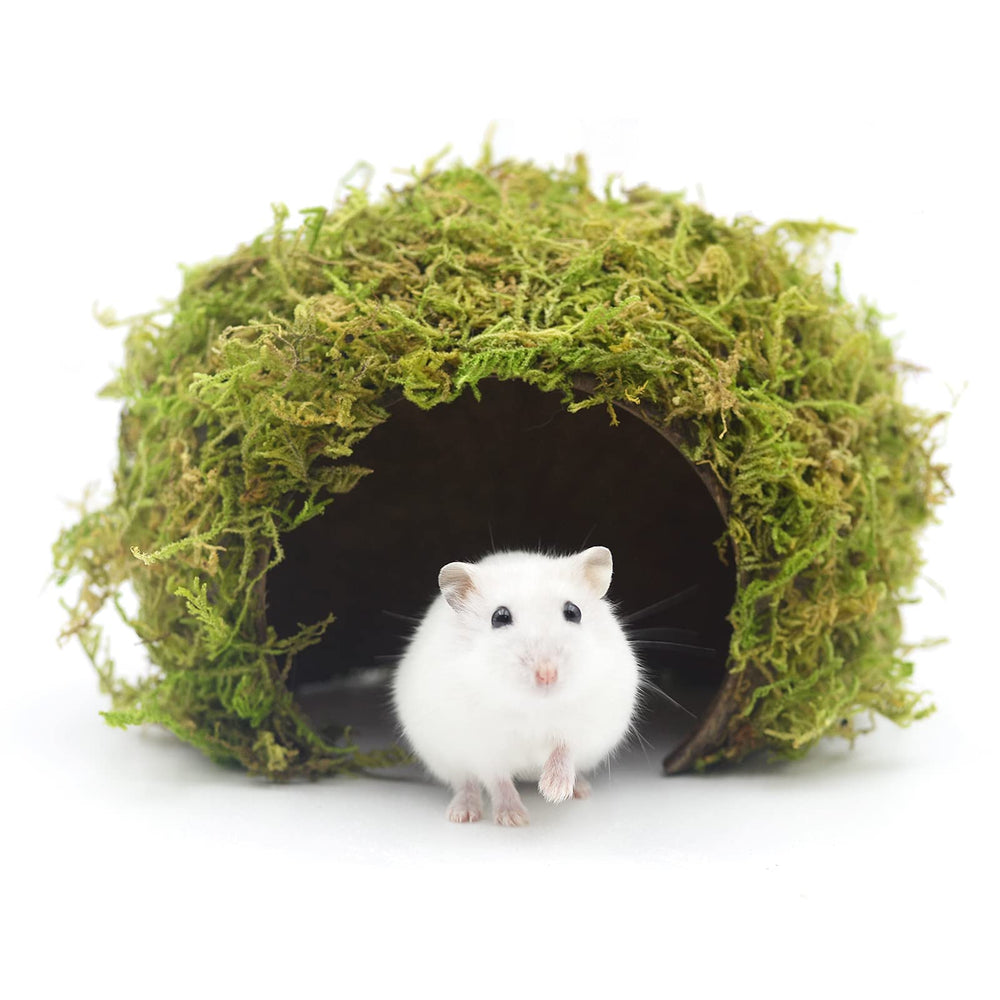 SanmooAio hamster hideout front view shows natural coconut shell texture for safe chewing.
