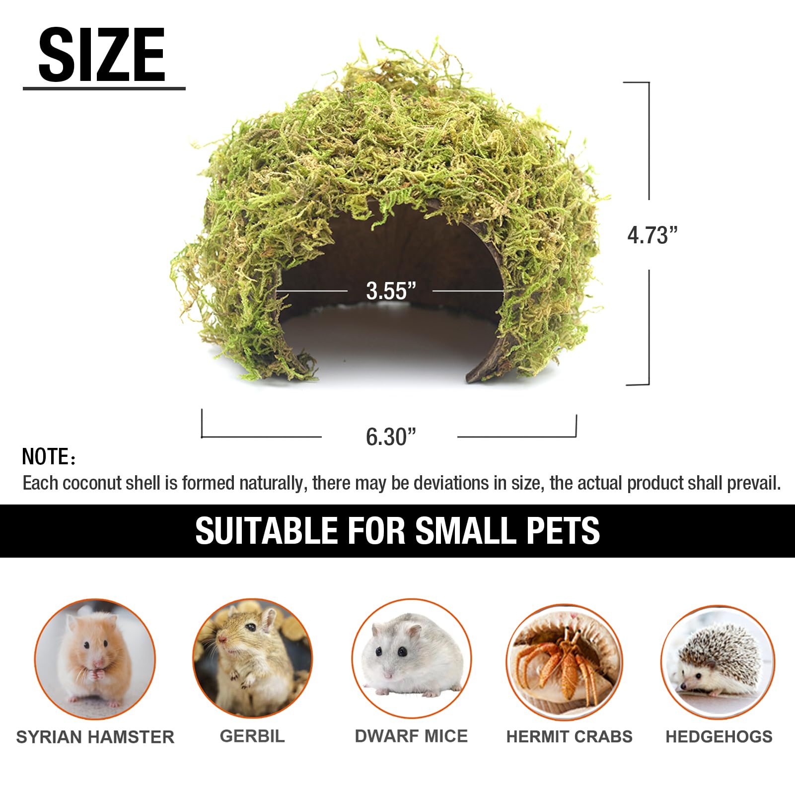 SanmooAio hamster-hideout-size-large image showcases larger habitat for Syrian hamsters.