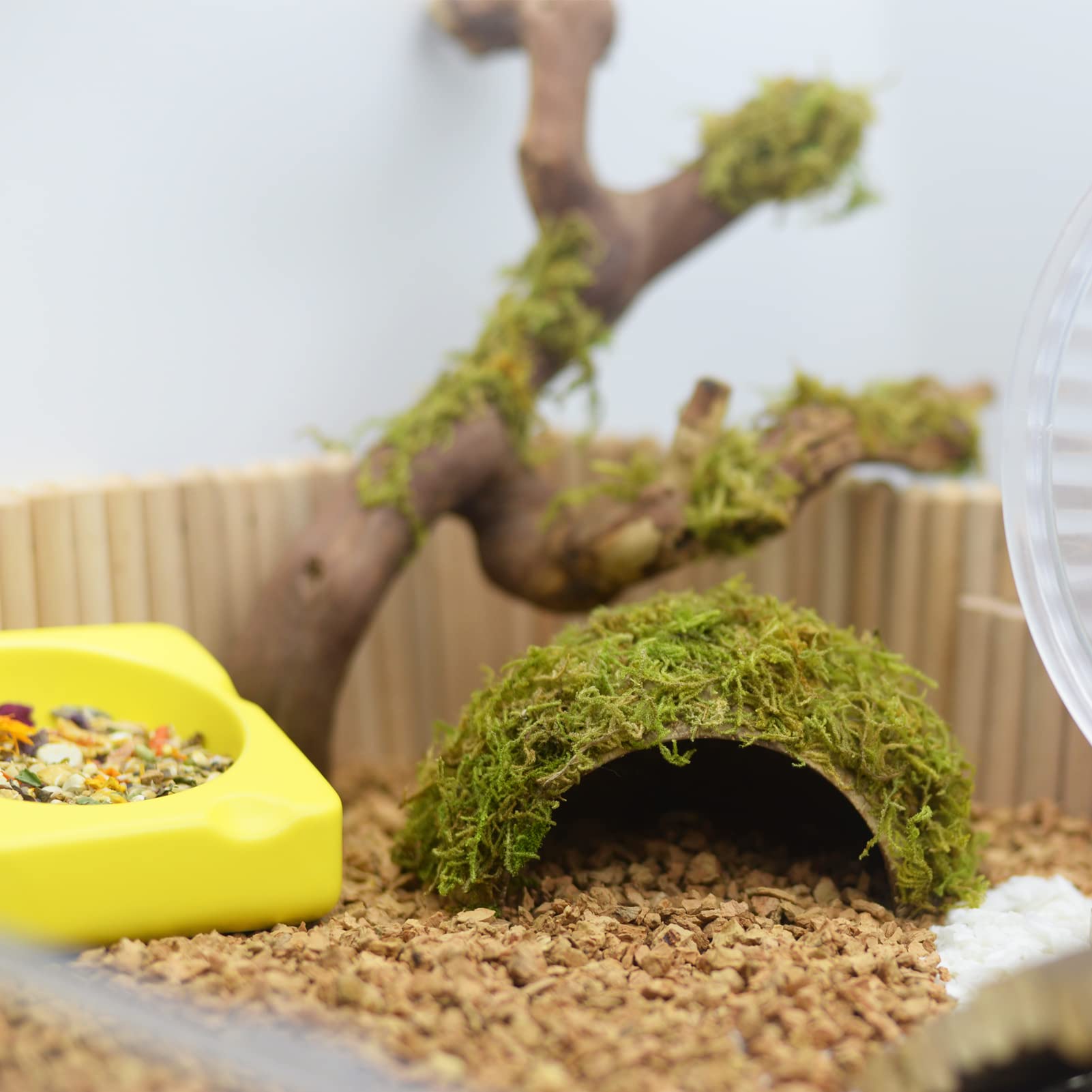 SanmooAio hamster-hideout-size-small image shows compact option for dwarf hamsters.