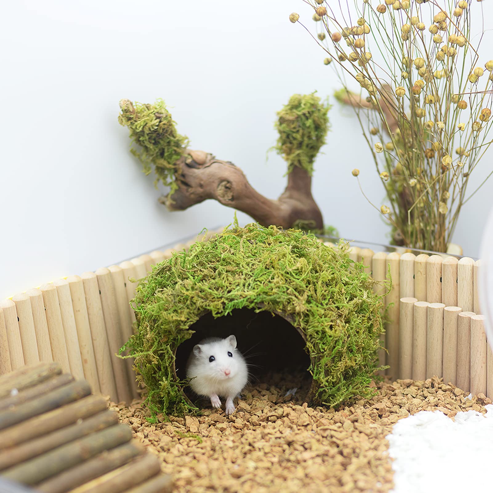 SanmooAio handcrafted-eco-friendly design highlights sustainable, multi-purpose hideout for small pets.