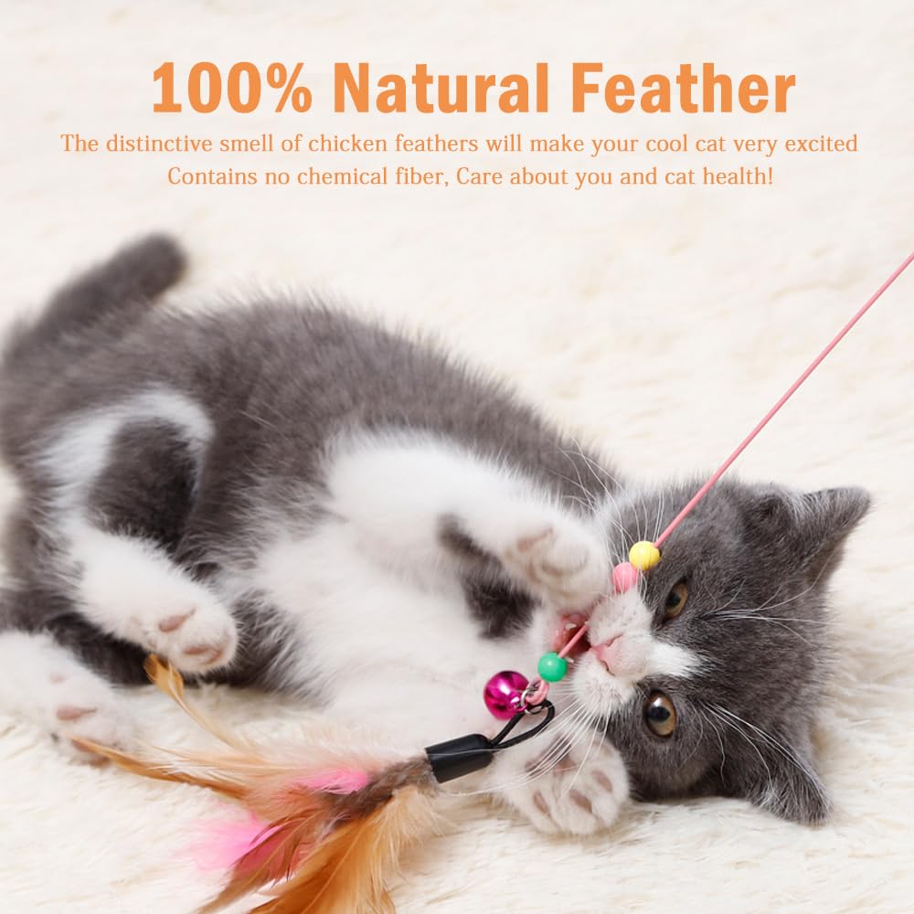 Sanpink Cat Feather Toy Pack – variety set image showcasing gifting-ready bundle.
