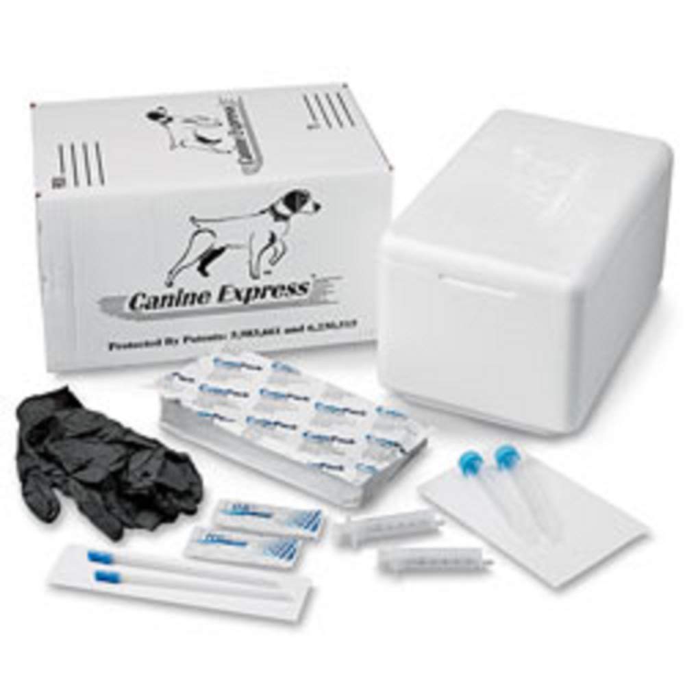 SANPROV Canine Express semen transport package for secure handling.