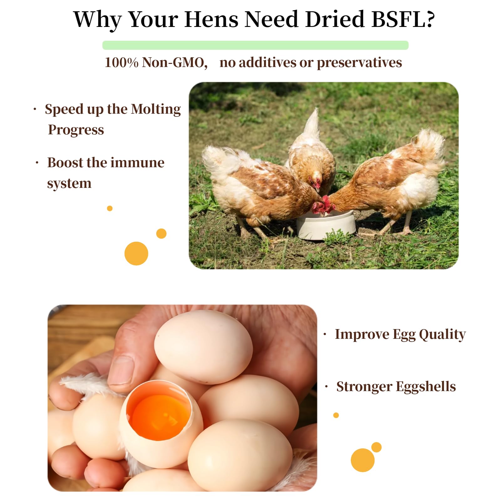 SANSECT wild birds attracted to calcium-rich BSF larvae.