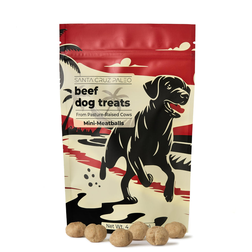 Santa Cruz Paleo dog treats 4oz bag with beef liver-heart bites for protein-rich rewards