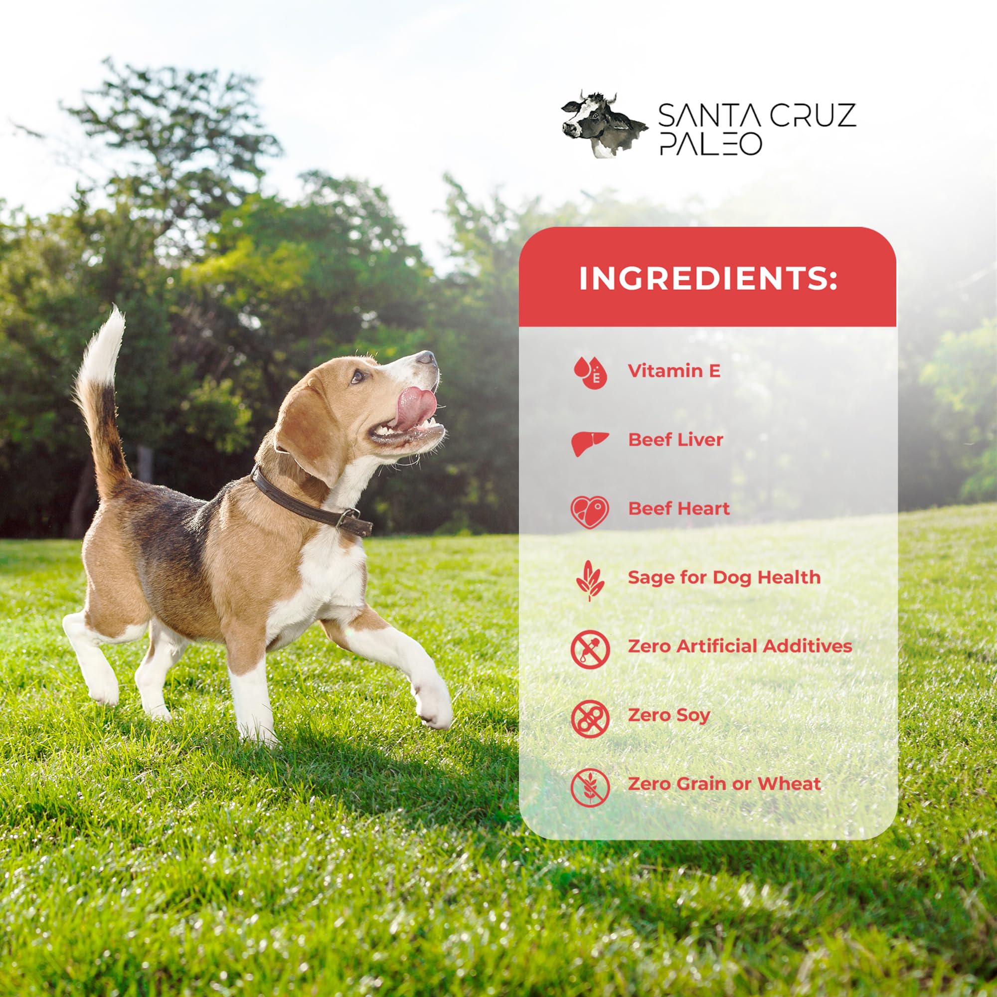 Santa Cruz Paleo dog treats used as a food topper on kibble