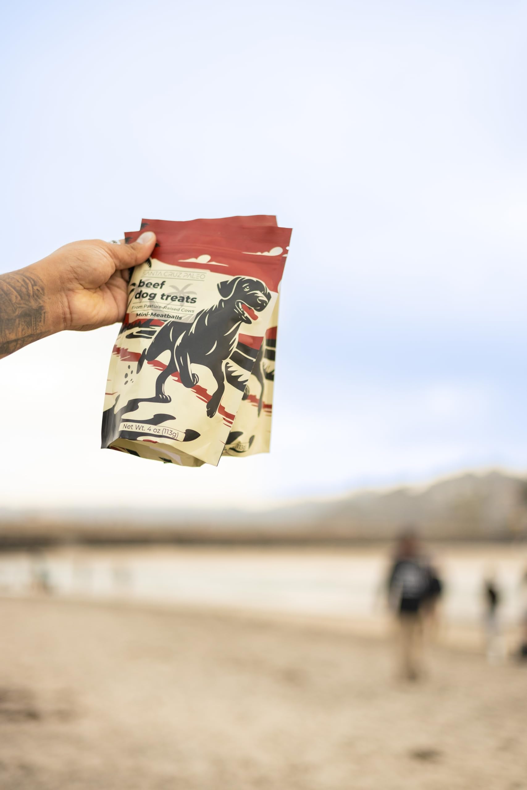 Santa Cruz Paleo scene with dogs and owner during playtime