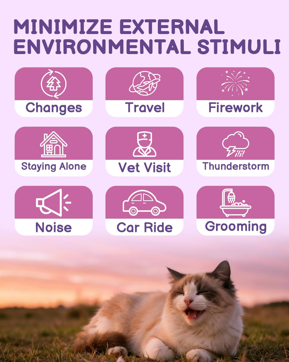 SANTKOL Cat Calming Spray beside carrier soothing cats during vet visits