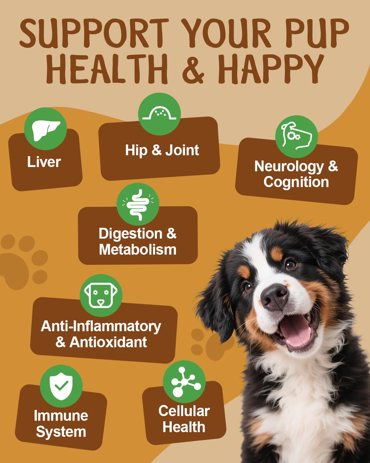 SANTKOL chicken-flavor dog mushroom supplement highlights tasty palatability for routines.