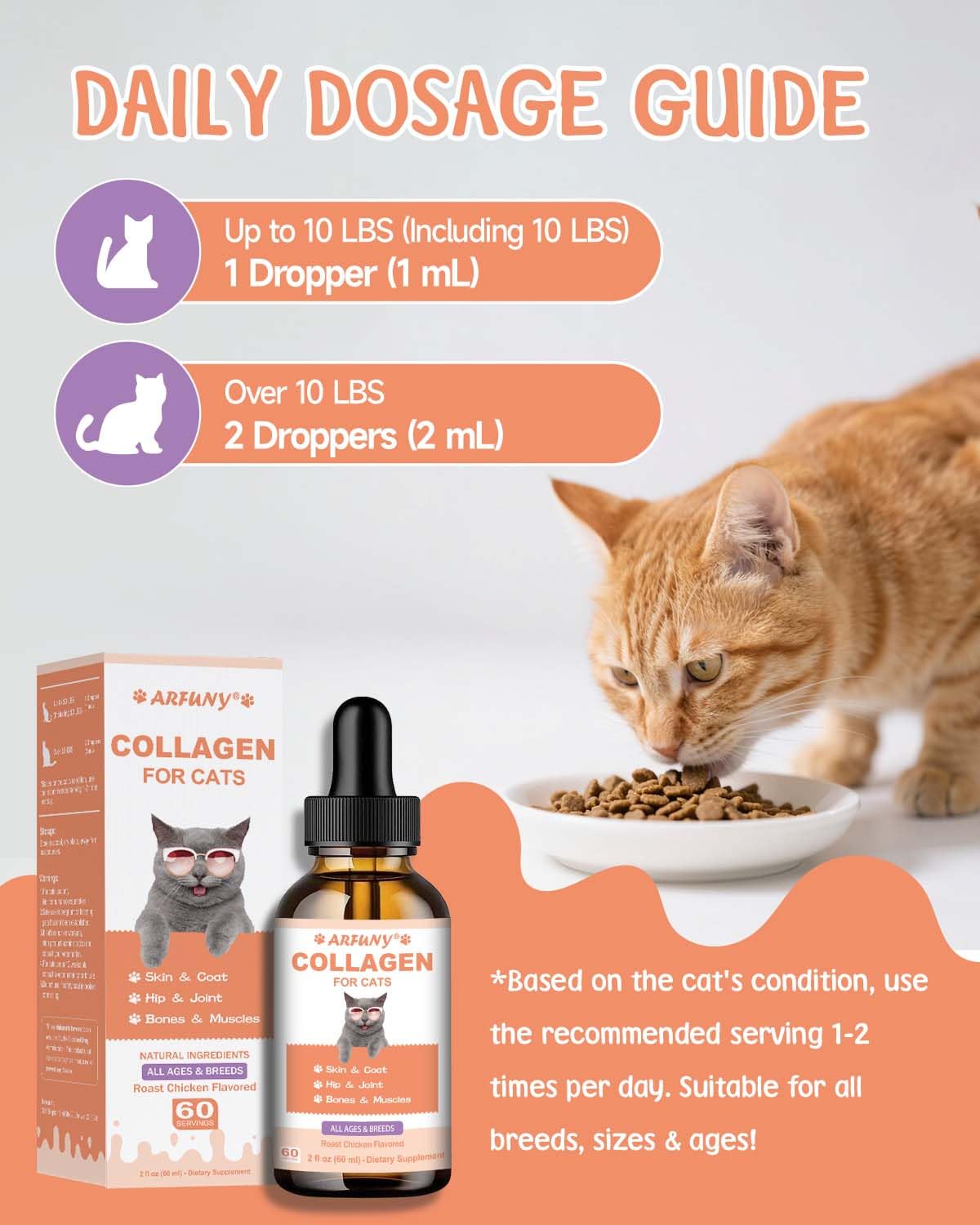SANTKOL Collagen for Cats supports digestion and immune health