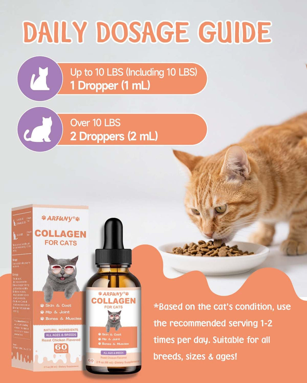 SANTKOL Collagen for Cats supports digestion and immune health