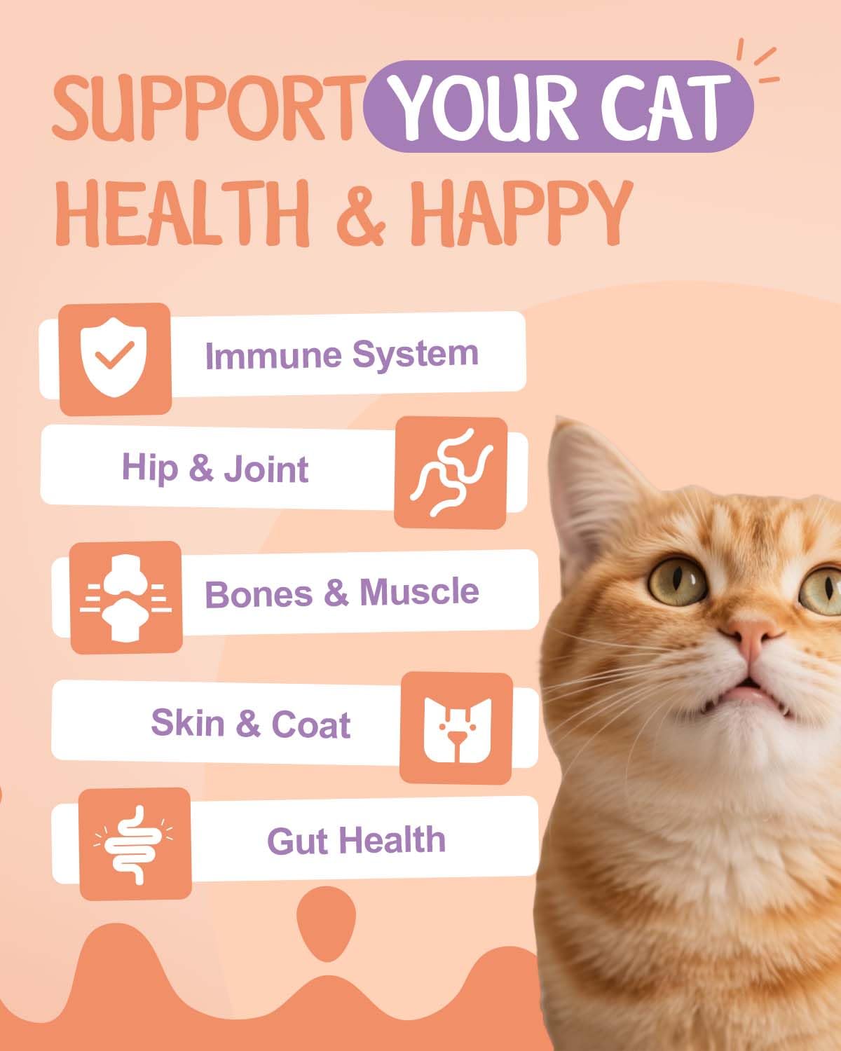 SANTKOL Collagen for Cats joints support with MSM and hyaluronic acid