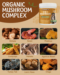 SANTKOL dog food with mushroom topping demonstrates simple serving for picky eaters.