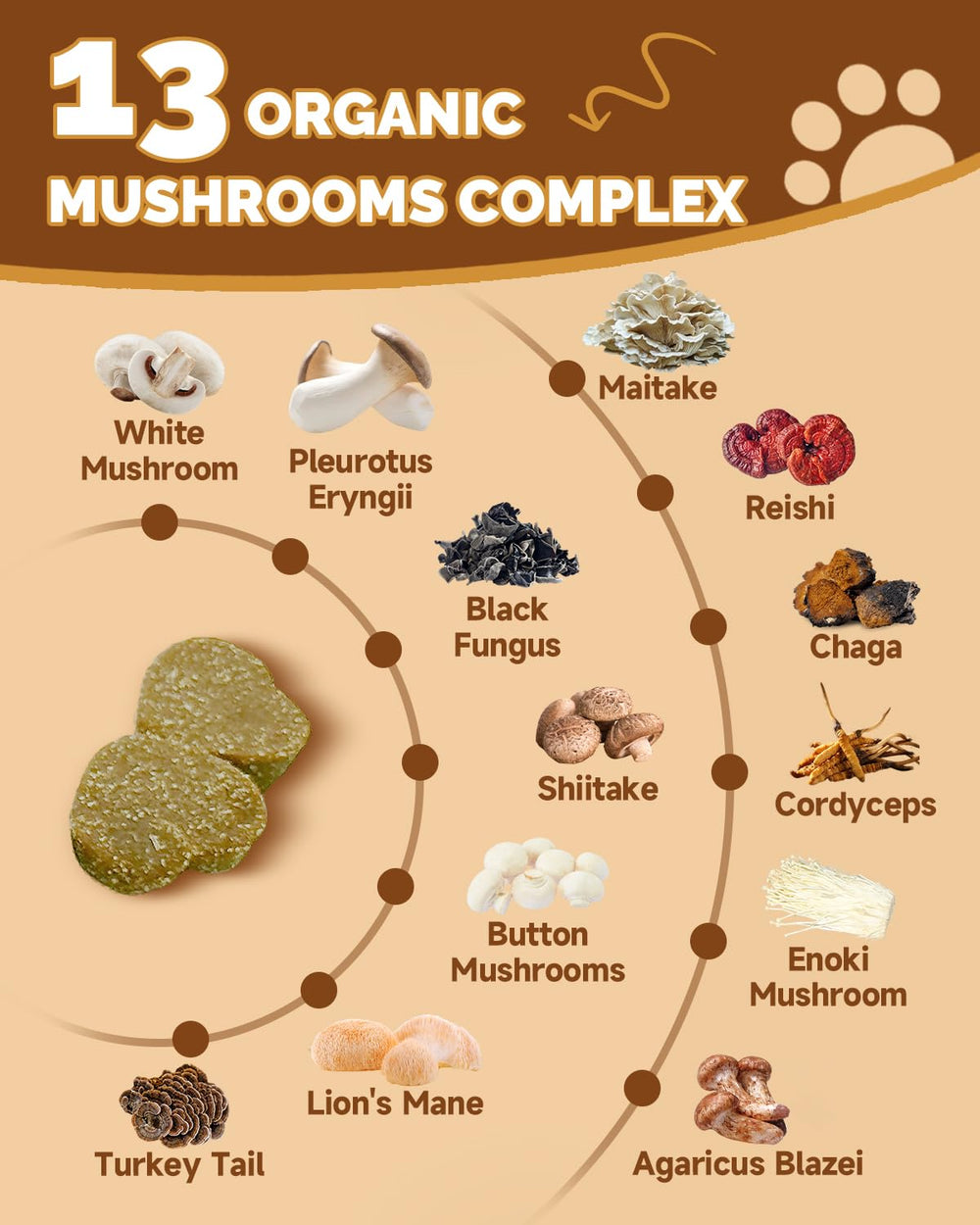SANTKOL 13-mushroom blend close-up highlights immune-supporting beta-glucans and antioxidants.