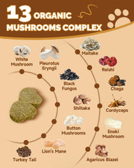 SANTKOL 13-mushroom blend close-up highlights immune-supporting beta-glucans and antioxidants.