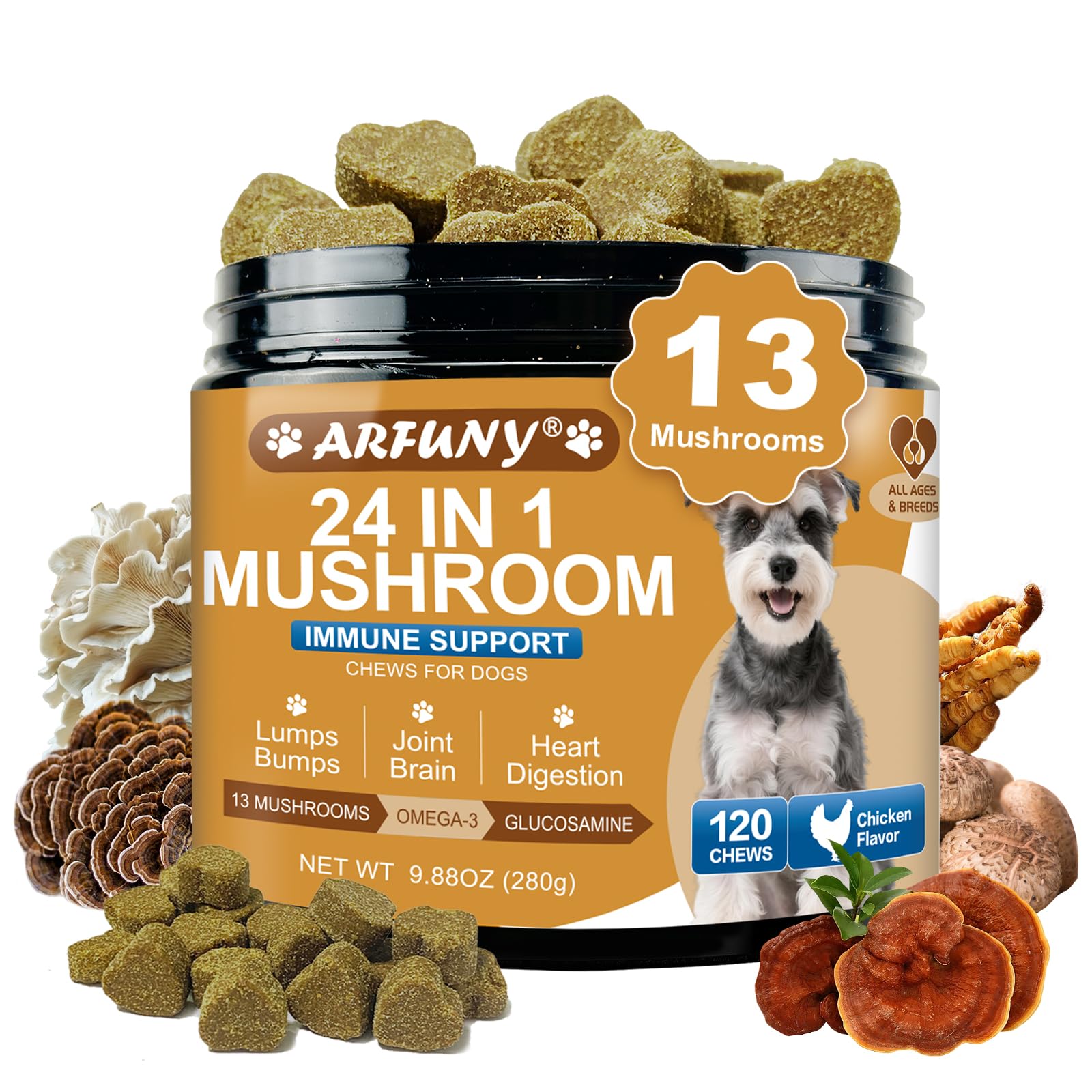 SANTKOL Mushrooms for Dogs bottle front with chicken flavor for easy daily serving.