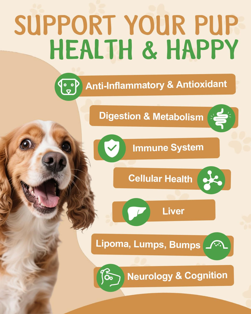 SANTKOL lions-mane dog cognitive vitality for alert moments