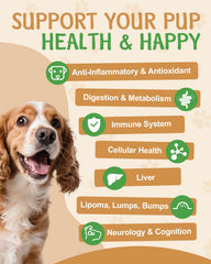 SANTKOL lions-mane dog cognitive vitality for alert moments