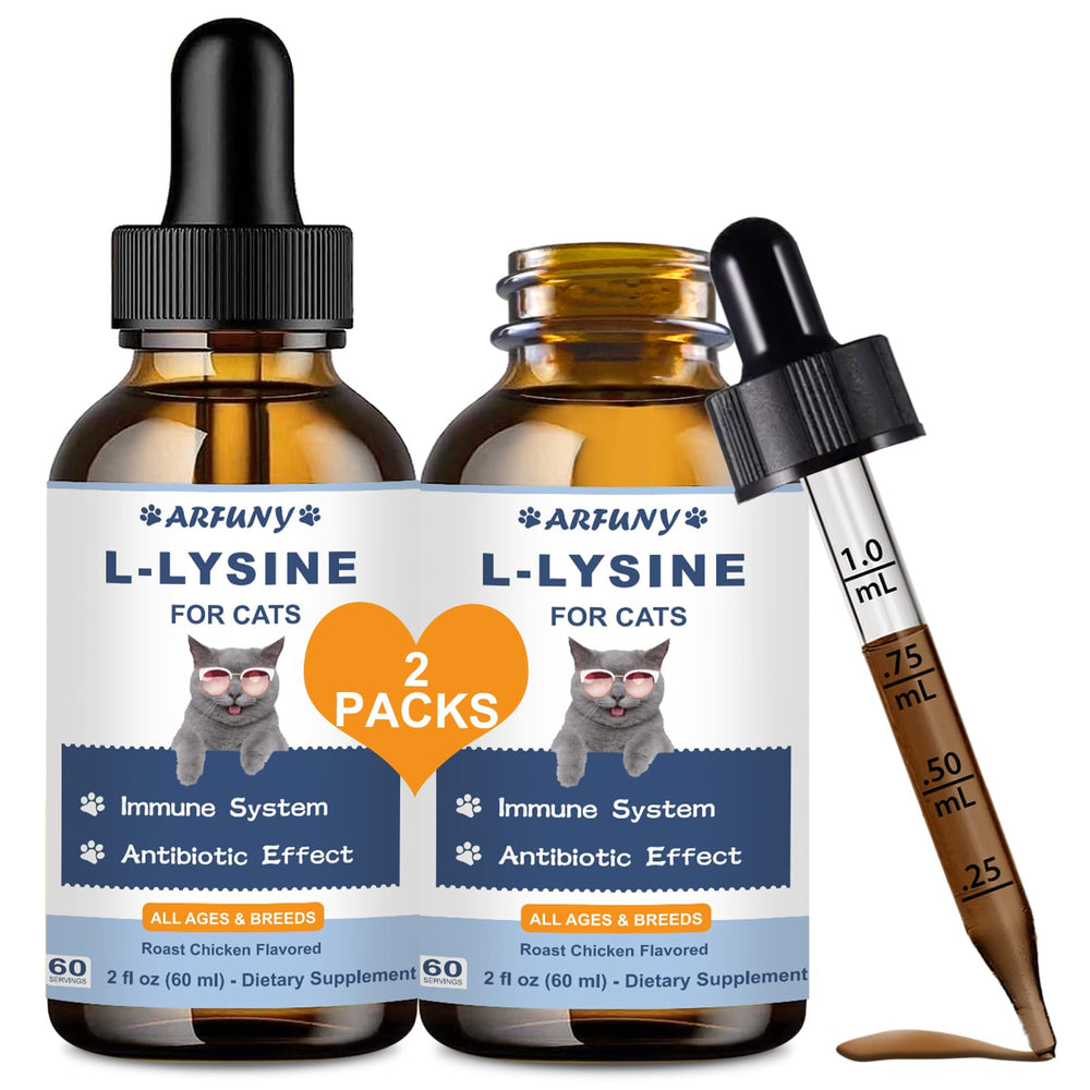 SANTKOL Lysine for Cats 2-pack packaging for easy, steady supply.