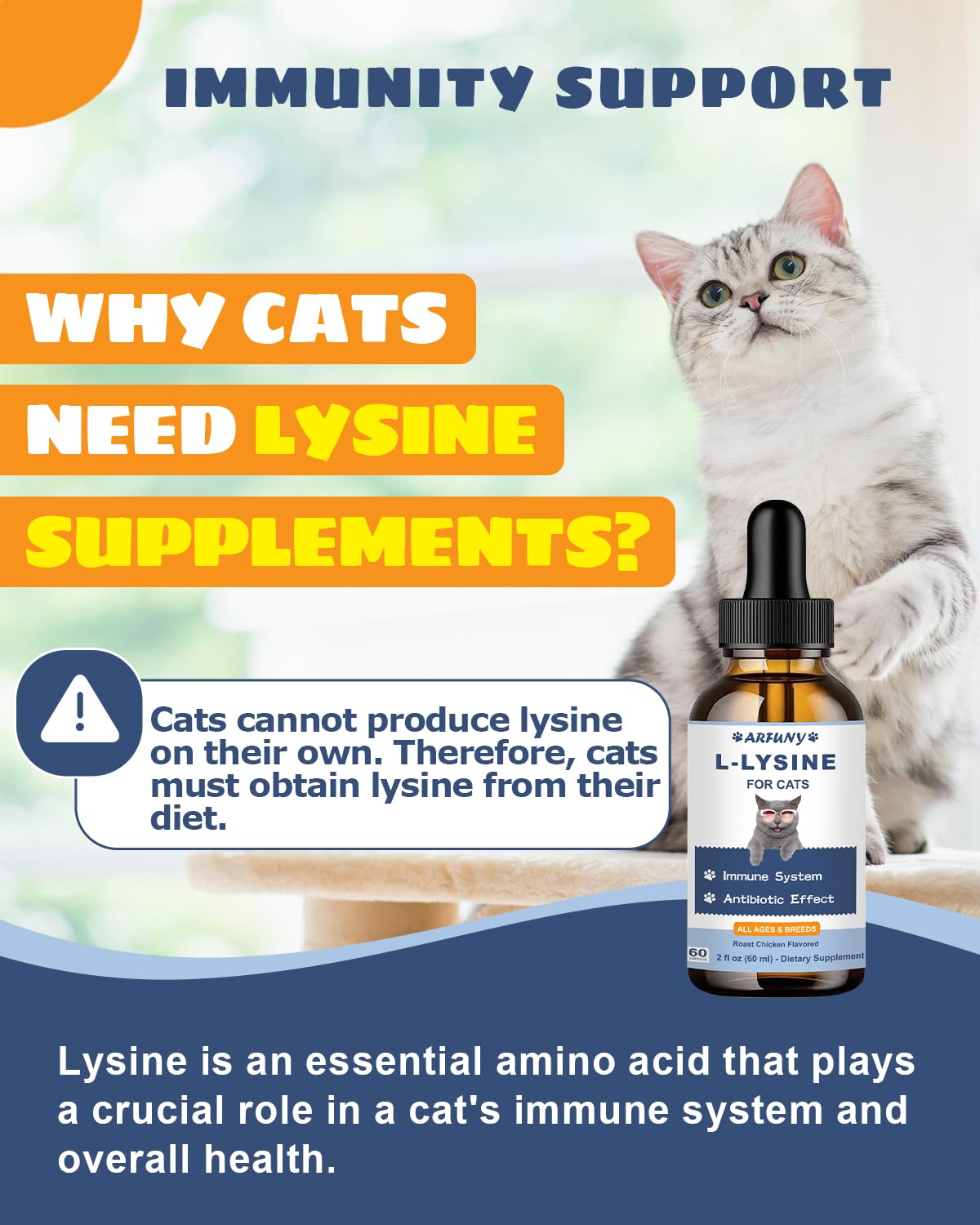 SANTKOL Lysine for Cats roast chicken flavor bottle invites easy treat-like supplementation.