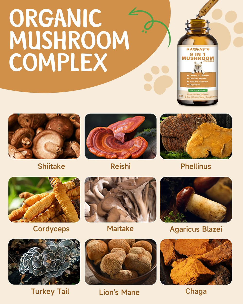 SANTKOL reishi dog skin-coat health focus for a shiny coat