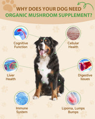 SANTKOL turkey-tail dog mushroom immune-support for resilient health