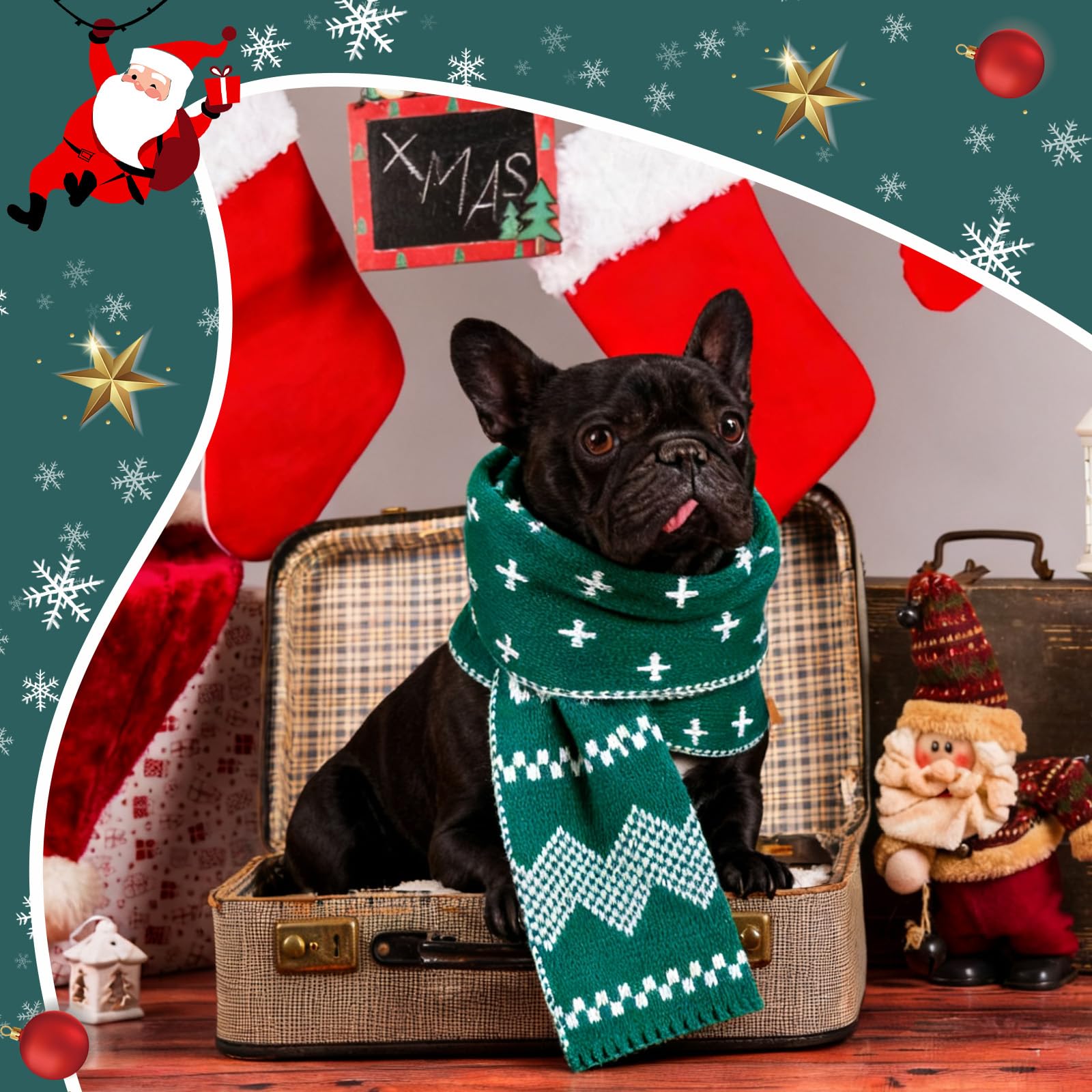 Sanwuta large-size scarf demonstrates versatile coverage for medium to large breeds.