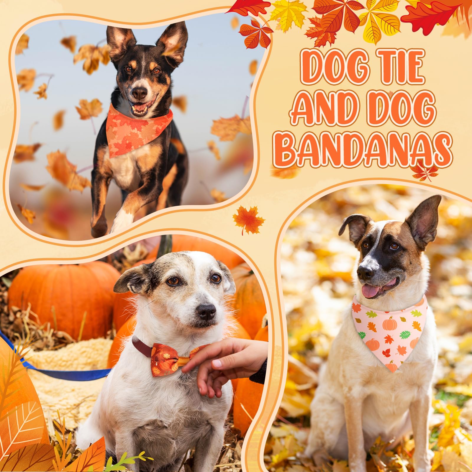 Sanwuta collar bow tie maple leaves pairs with festive collars for party looks.