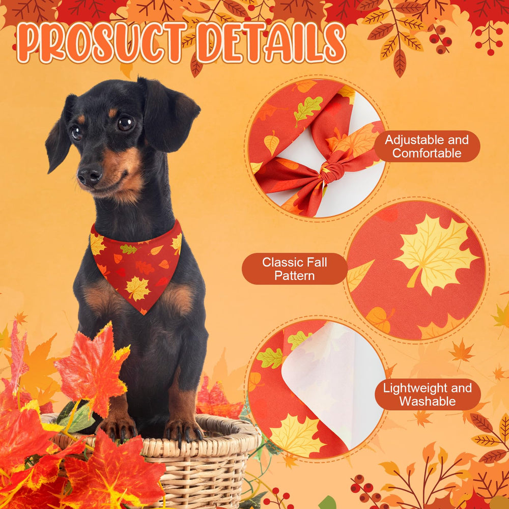 Sanwuta collar bow tie pumpkin pattern creates festive frames for pet portraits.
