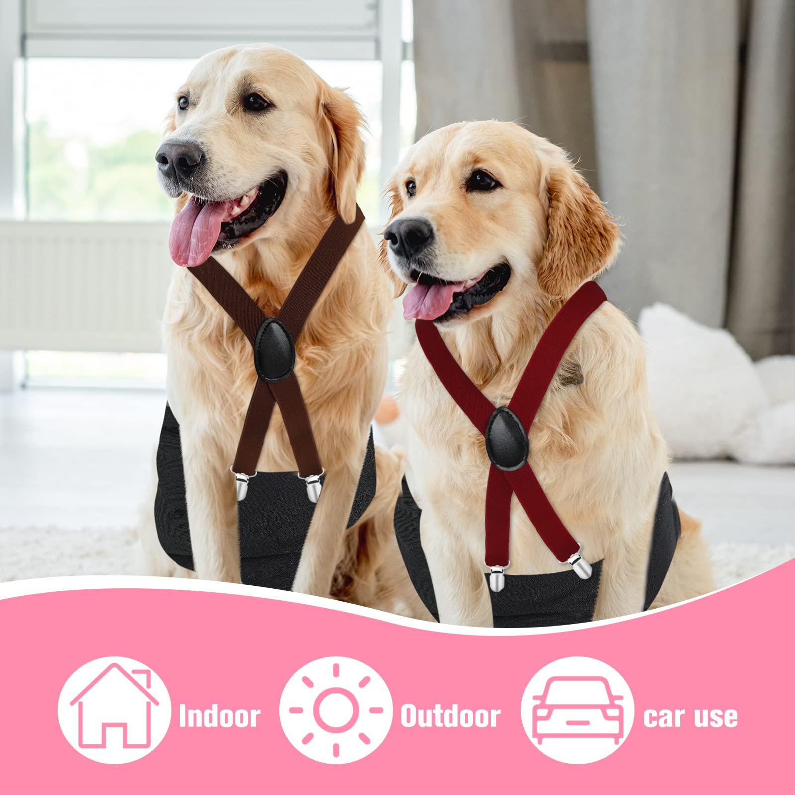 Sanwuta 4-piece set offers color variety for busy pet parents and easy switching.