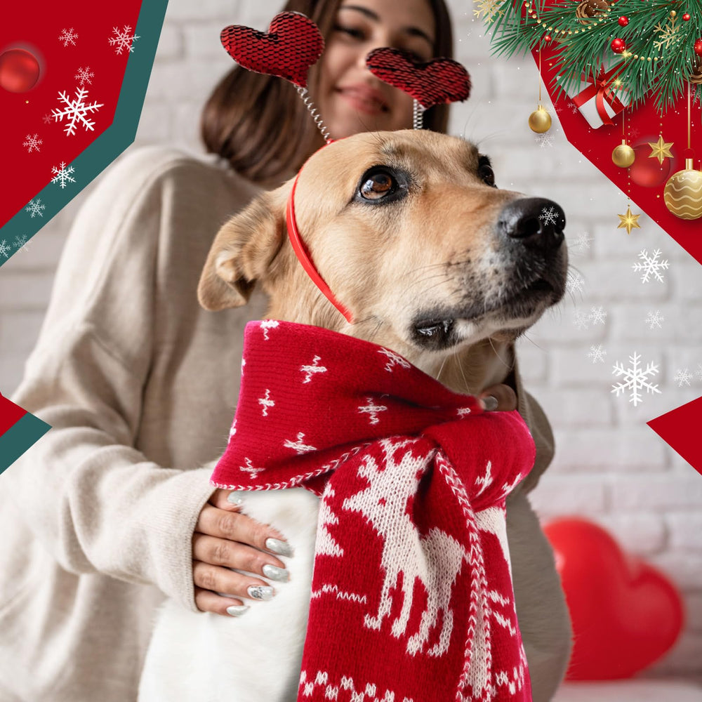 Sanwuta large-breed scarf provides neck coverage