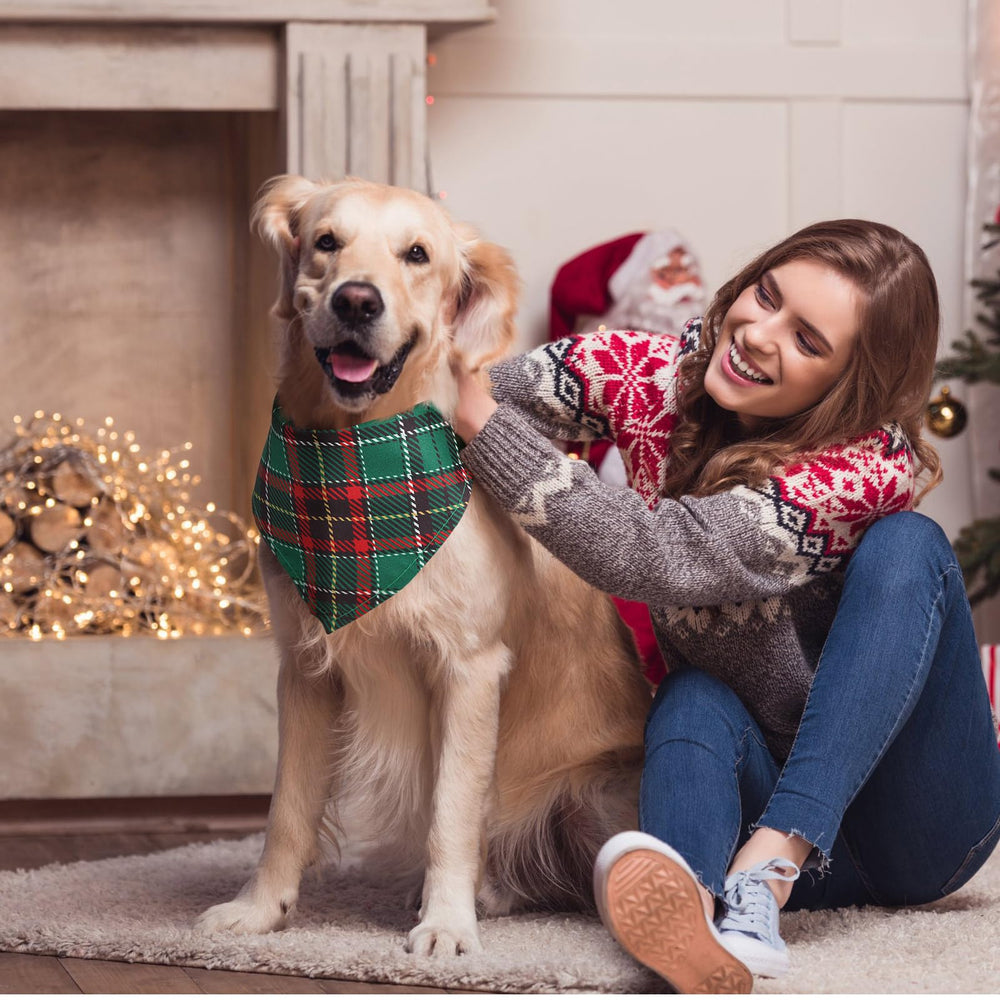 Sanwuta plaid bandana on pets adds holiday charm for cats and dogs.
