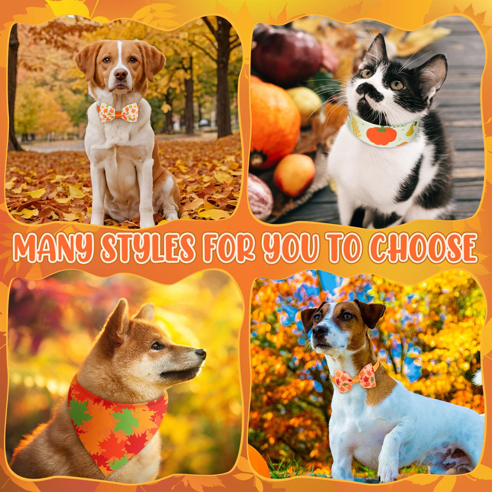 Sanwuta 100-piece set packaging displays versatile costumes for fall celebrations.