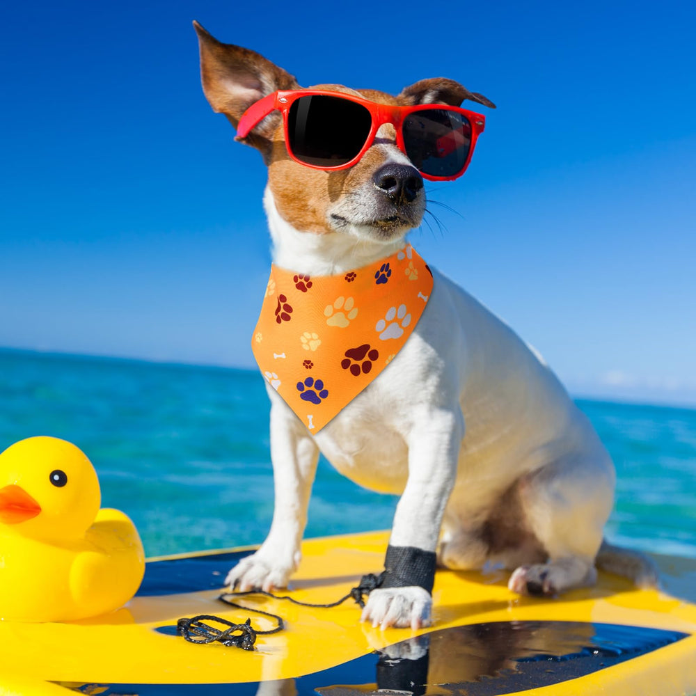 Sanwuta vibrant colors bandana boosts visibility during park adventures.